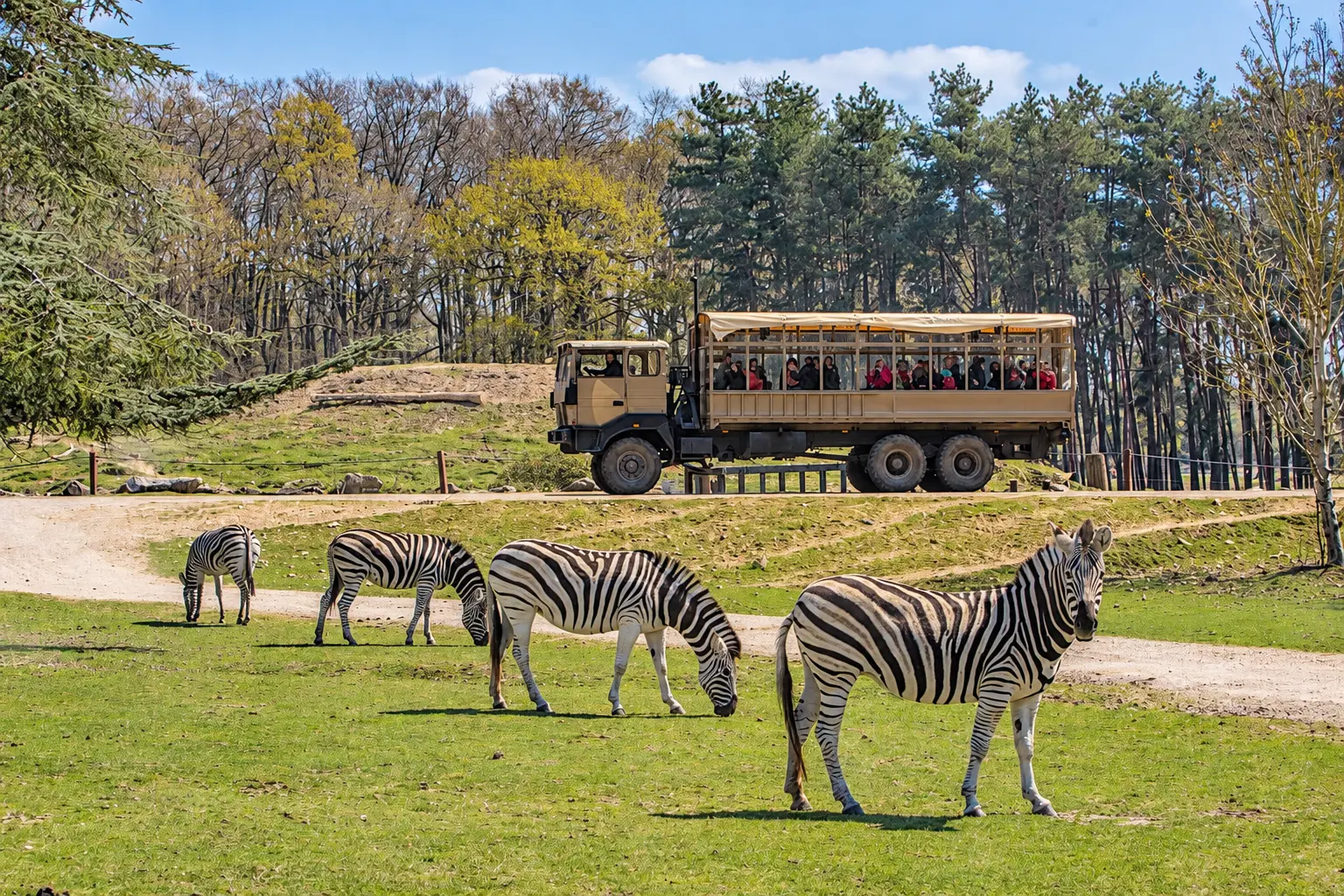Le safari au plus près des animaux